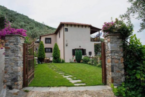 Luxury Mansion in Pelion Hills
